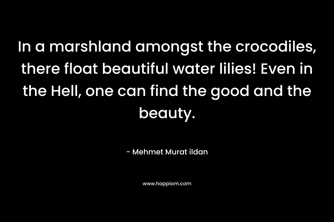 In a marshland amongst the crocodiles, there float beautiful water lilies! Even in the Hell, one can find the good and the beauty.