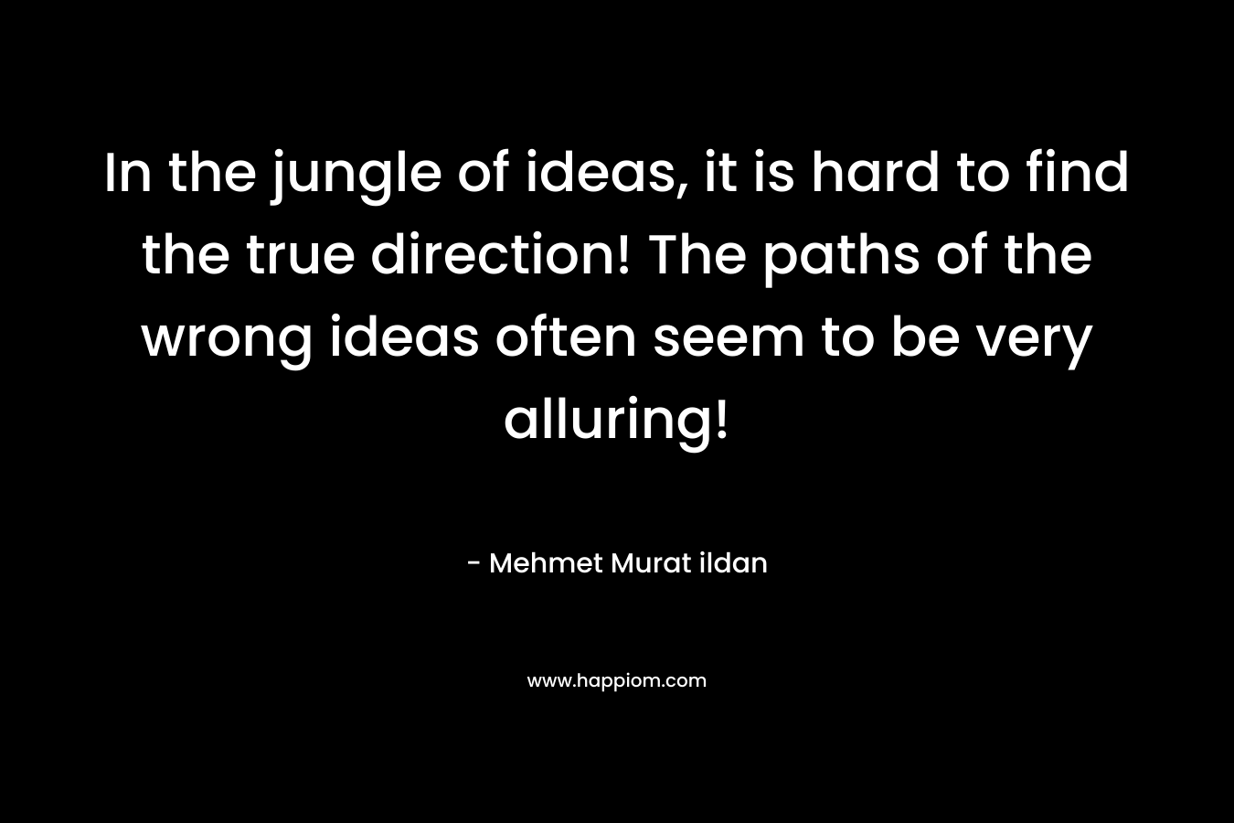 In the jungle of ideas, it is hard to find the true direction! The paths of the wrong ideas often seem to be very alluring! – Mehmet Murat ildan