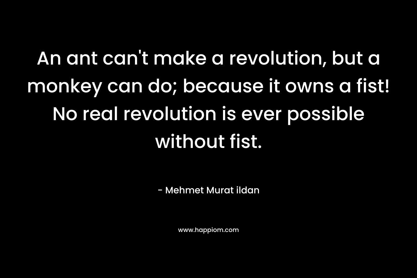 An ant can’t make a revolution, but a monkey can do; because it owns a fist! No real revolution is ever possible without fist. – Mehmet Murat ildan