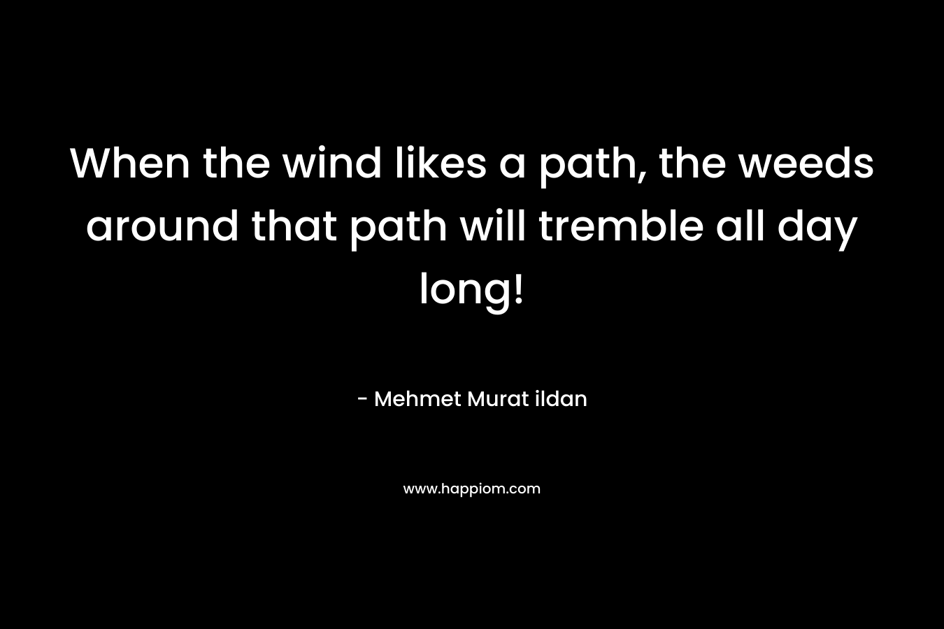 When the wind likes a path, the weeds around that path will tremble all day long! – Mehmet Murat ildan