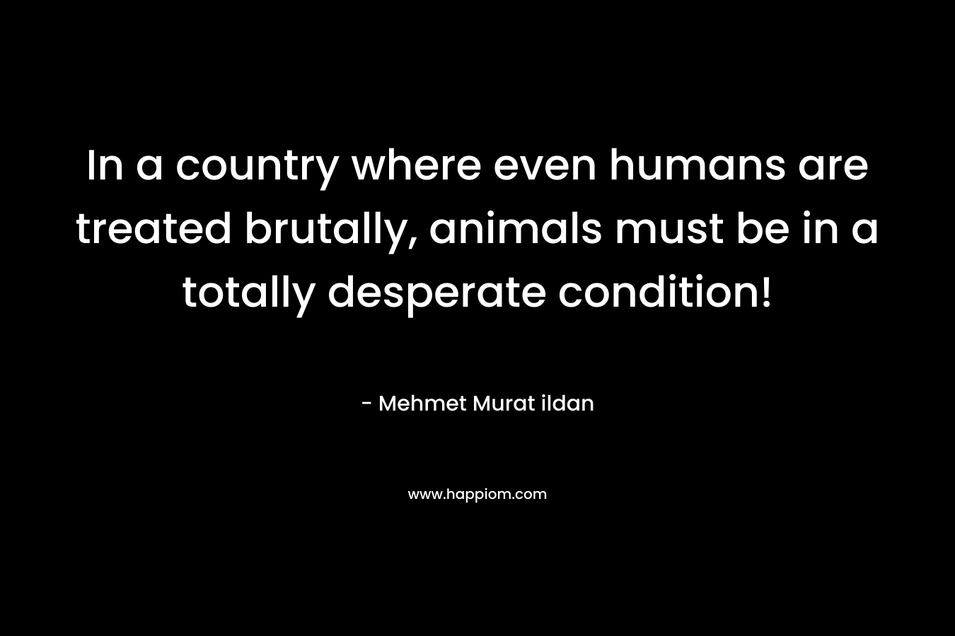 In a country where even humans are treated brutally, animals must be in a totally desperate condition!