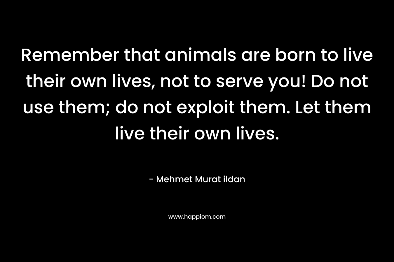 Remember that animals are born to live their own lives, not to serve you! Do not use them; do not exploit them. Let them live their own lives. – Mehmet Murat ildan