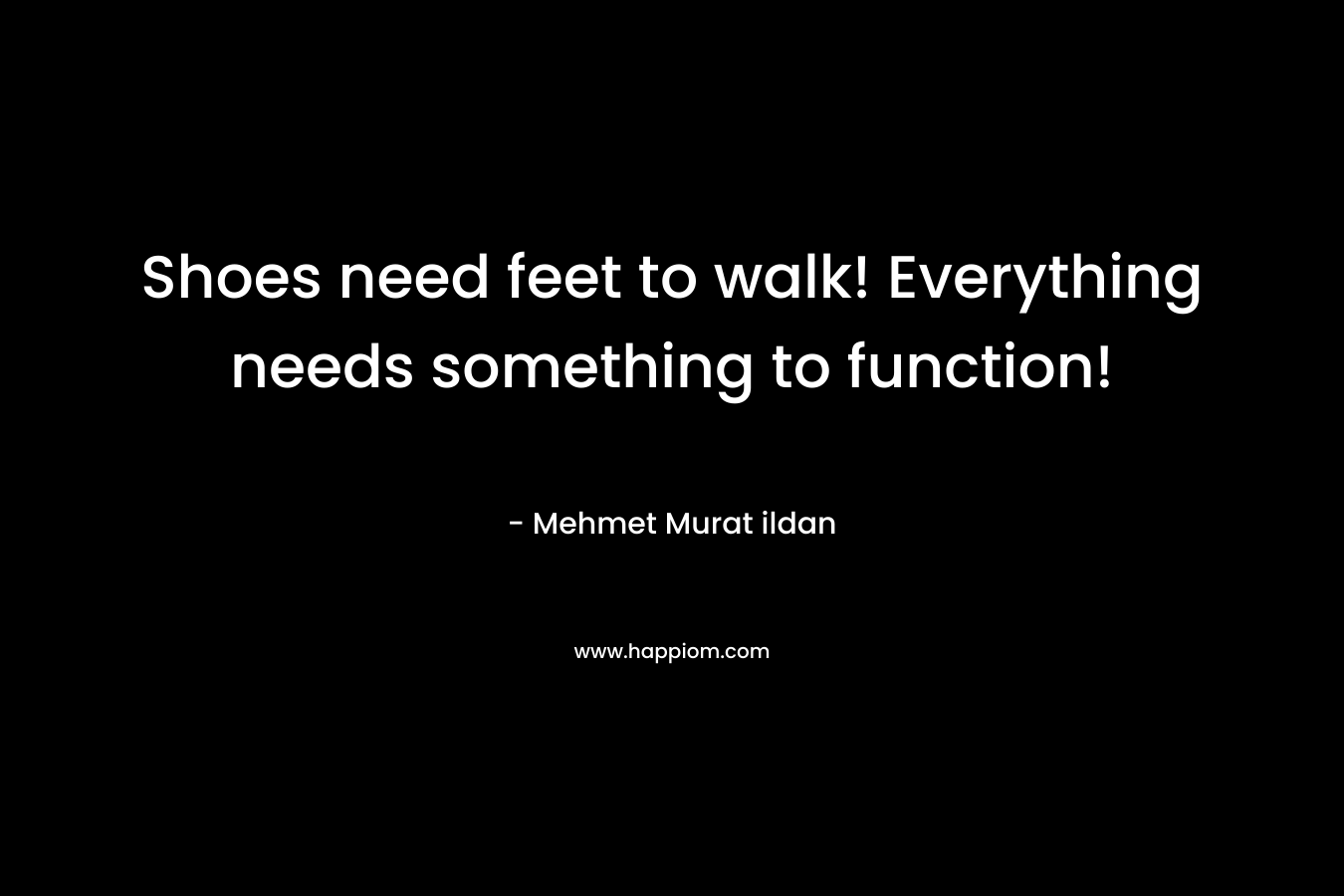 Shoes need feet to walk! Everything needs something to function! – Mehmet Murat ildan