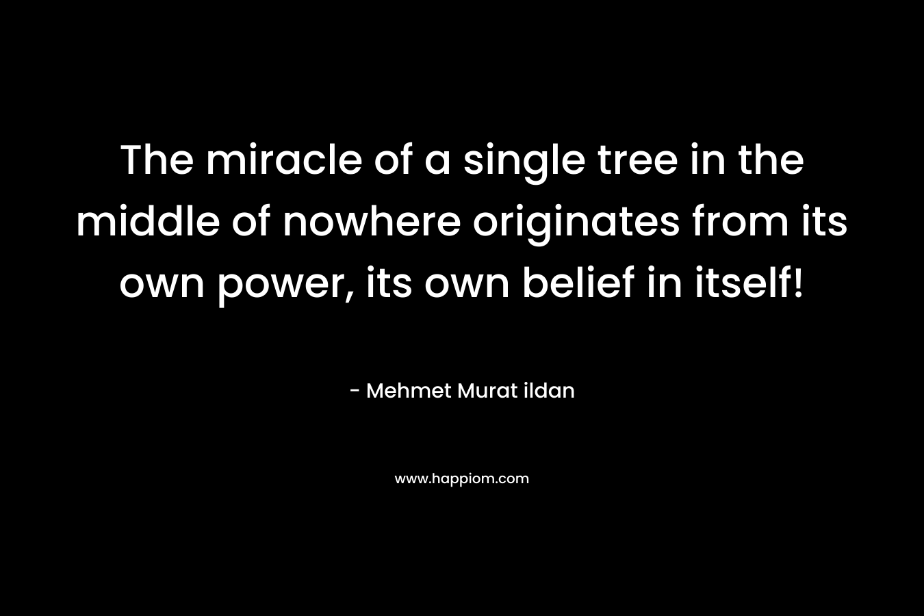 The miracle of a single tree in the middle of nowhere originates from its own power, its own belief in itself!