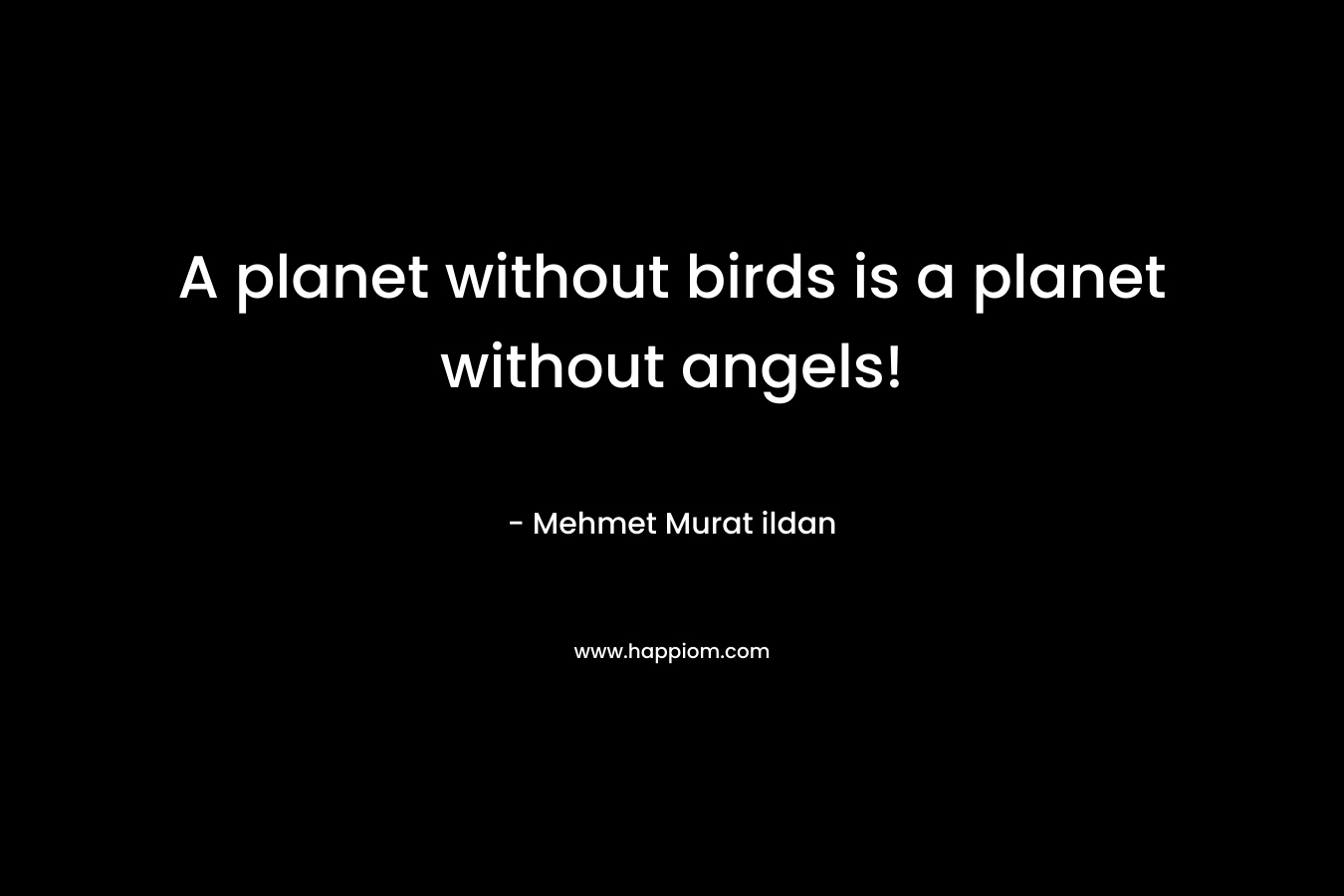 A planet without birds is a planet without angels!