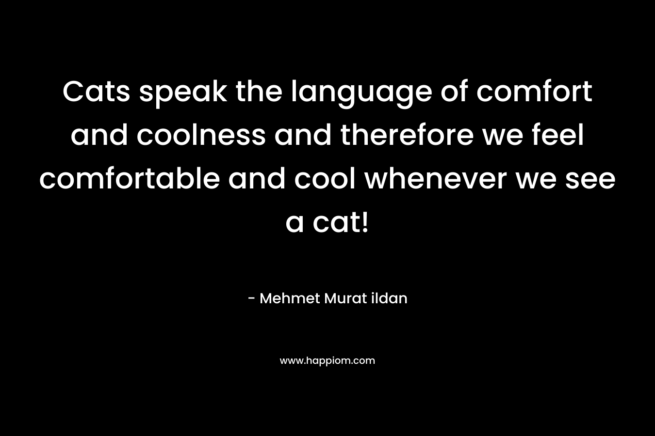 Cats speak the language of comfort and coolness and therefore we feel comfortable and cool whenever we see a cat! – Mehmet Murat ildan