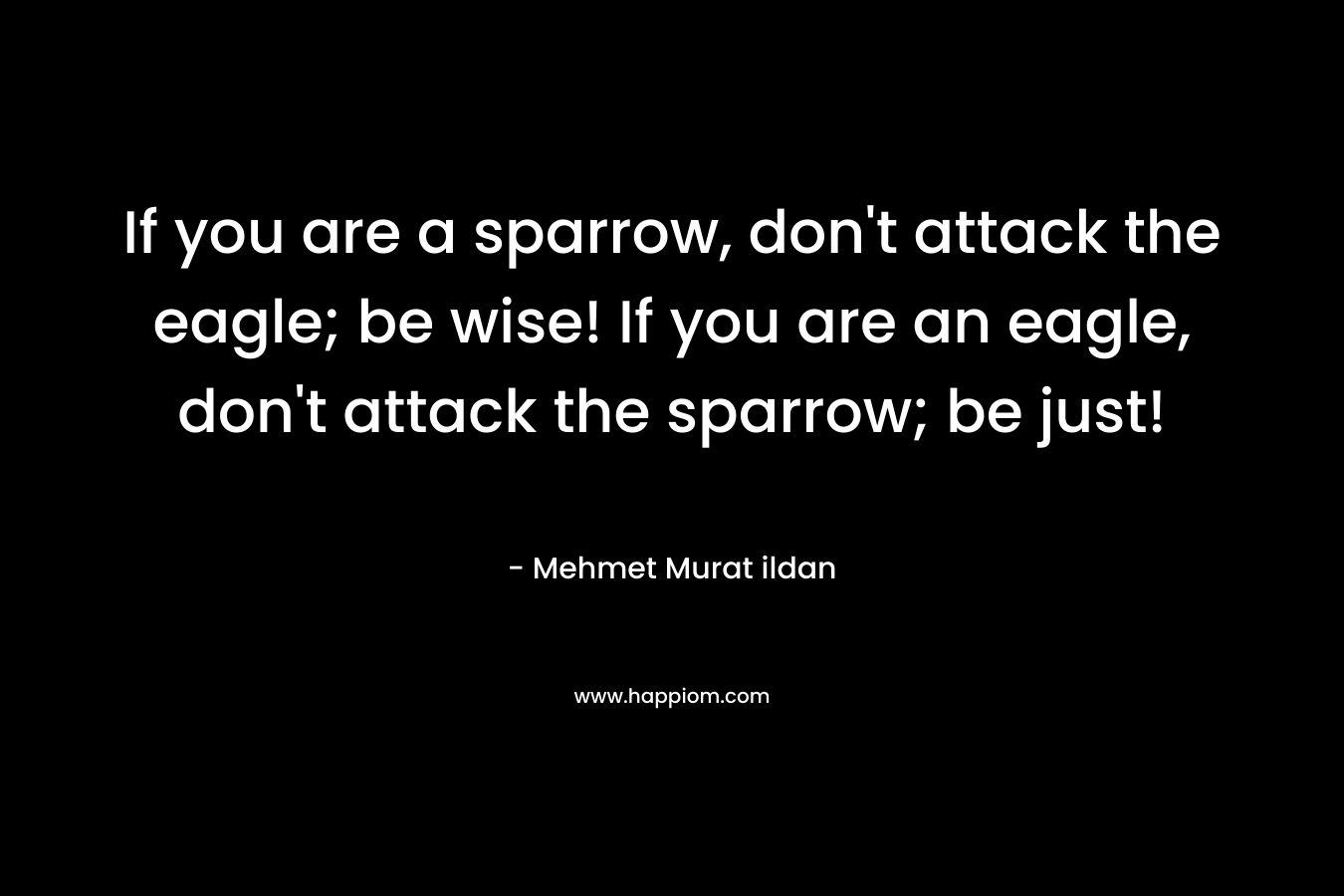 If you are a sparrow, don’t attack the eagle; be wise! If you are an eagle, don’t attack the sparrow; be just! – Mehmet Murat ildan