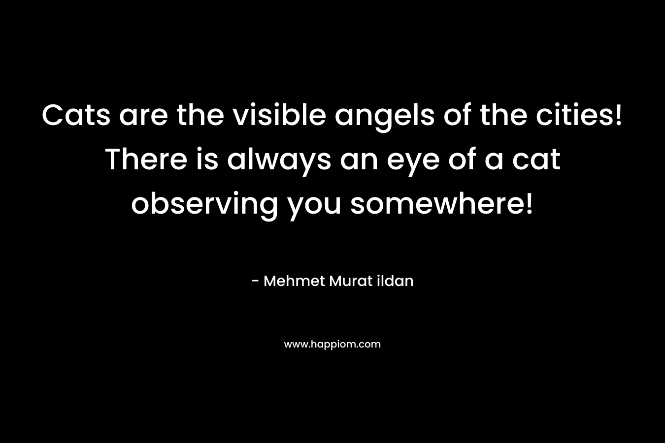 Cats are the visible angels of the cities! There is always an eye of a cat observing you somewhere! – Mehmet Murat ildan
