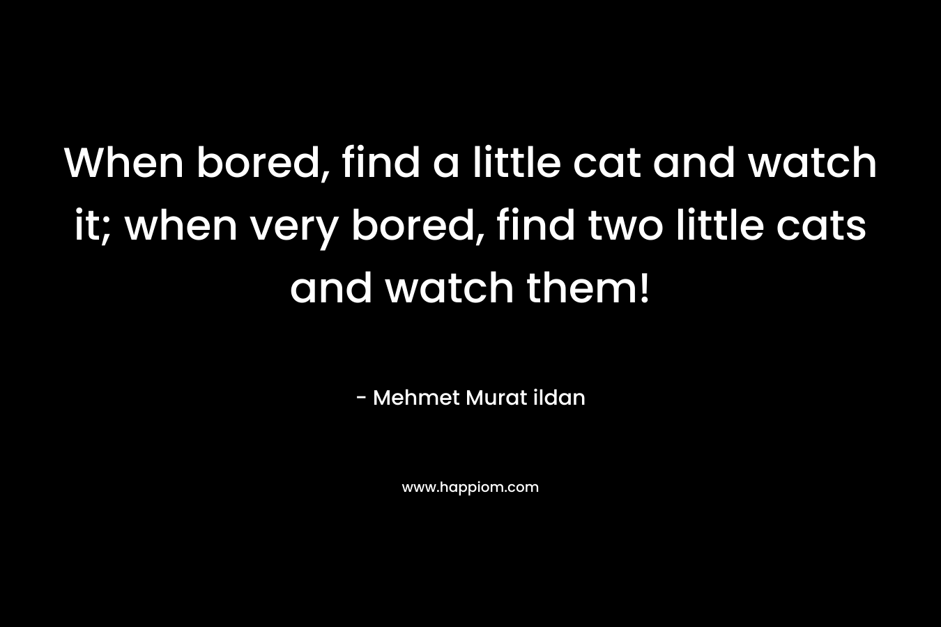 When bored, find a little cat and watch it; when very bored, find two little cats and watch them! – Mehmet Murat ildan