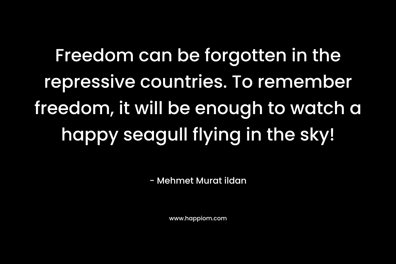 Freedom can be forgotten in the repressive countries. To remember freedom, it will be enough to watch a happy seagull flying in the sky! – Mehmet Murat ildan