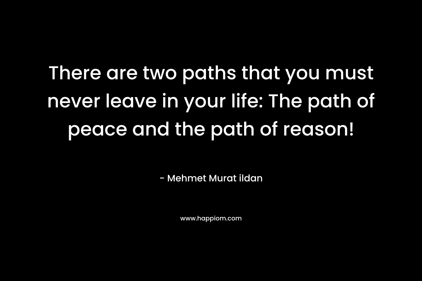 There are two paths that you must never leave in your life: The path of peace and the path of reason!