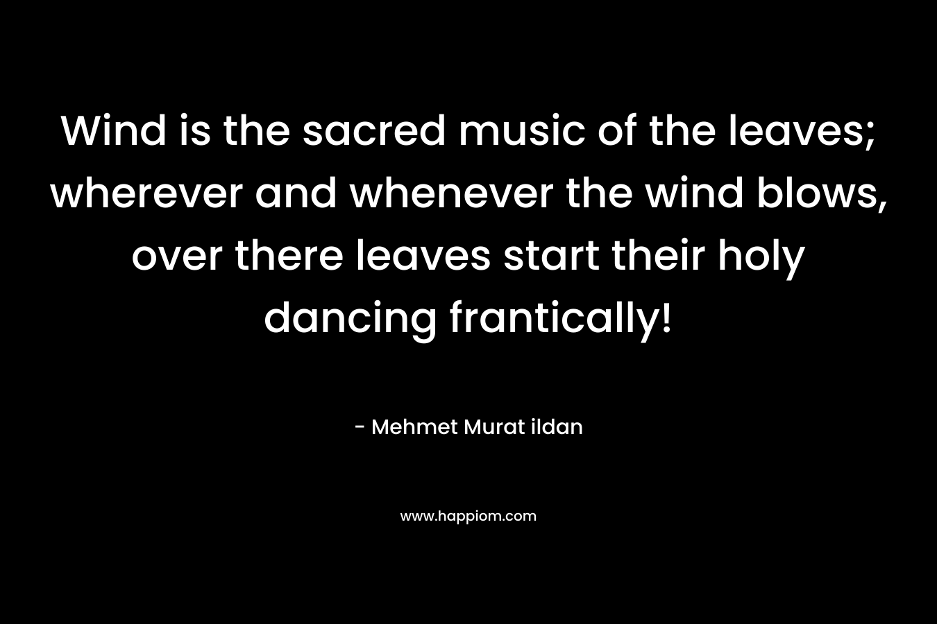 Wind is the sacred music of the leaves; wherever and whenever the wind blows, over there leaves start their holy dancing frantically!