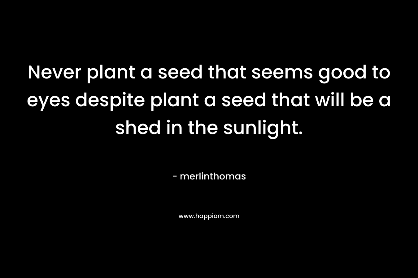 Never plant a seed that seems good to eyes despite plant a seed that will be a shed in the sunlight.