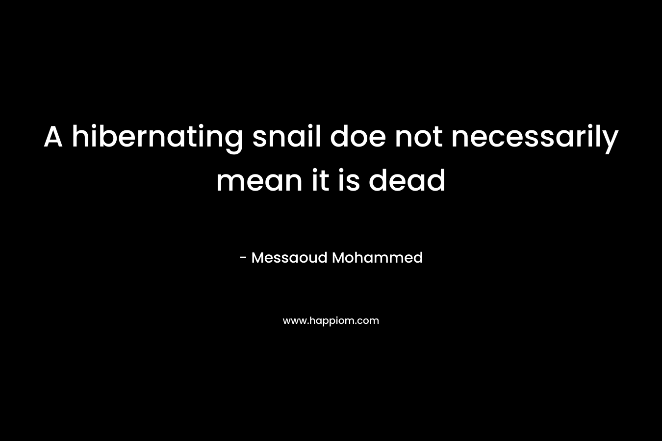 A hibernating snail doe not necessarily mean it is dead – Messaoud Mohammed