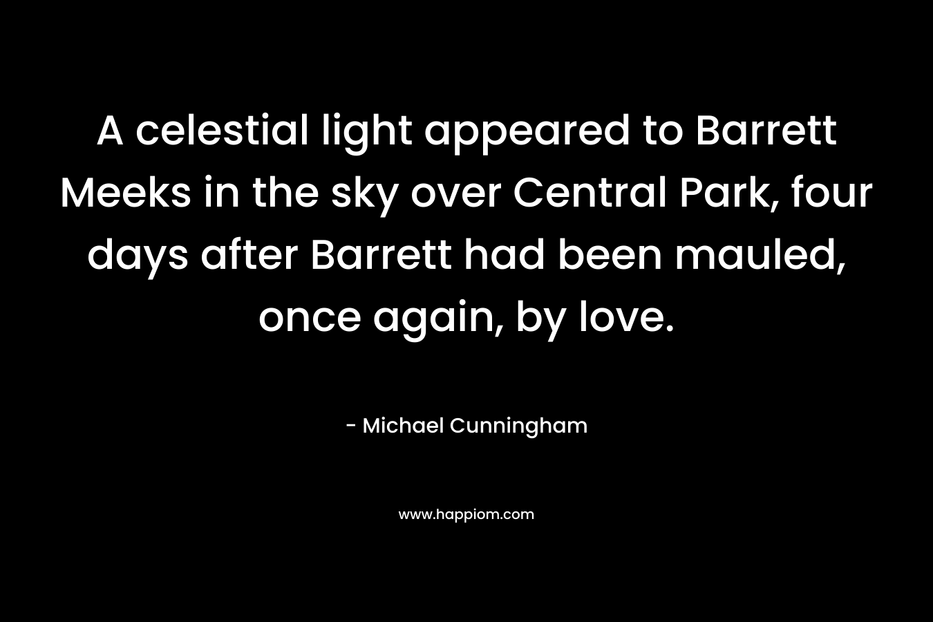 A celestial light appeared to Barrett Meeks in the sky over Central Park, four days after Barrett had been mauled, once again, by love.
