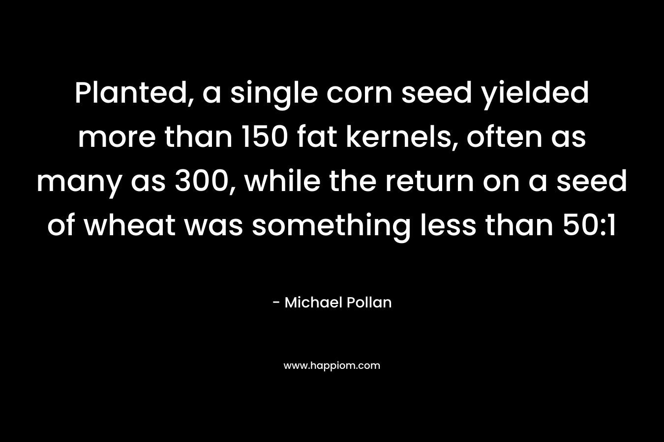 Planted, a single corn seed yielded more than 150 fat kernels, often as many as 300, while the return on a seed of wheat was something less than 50:1 – Michael Pollan