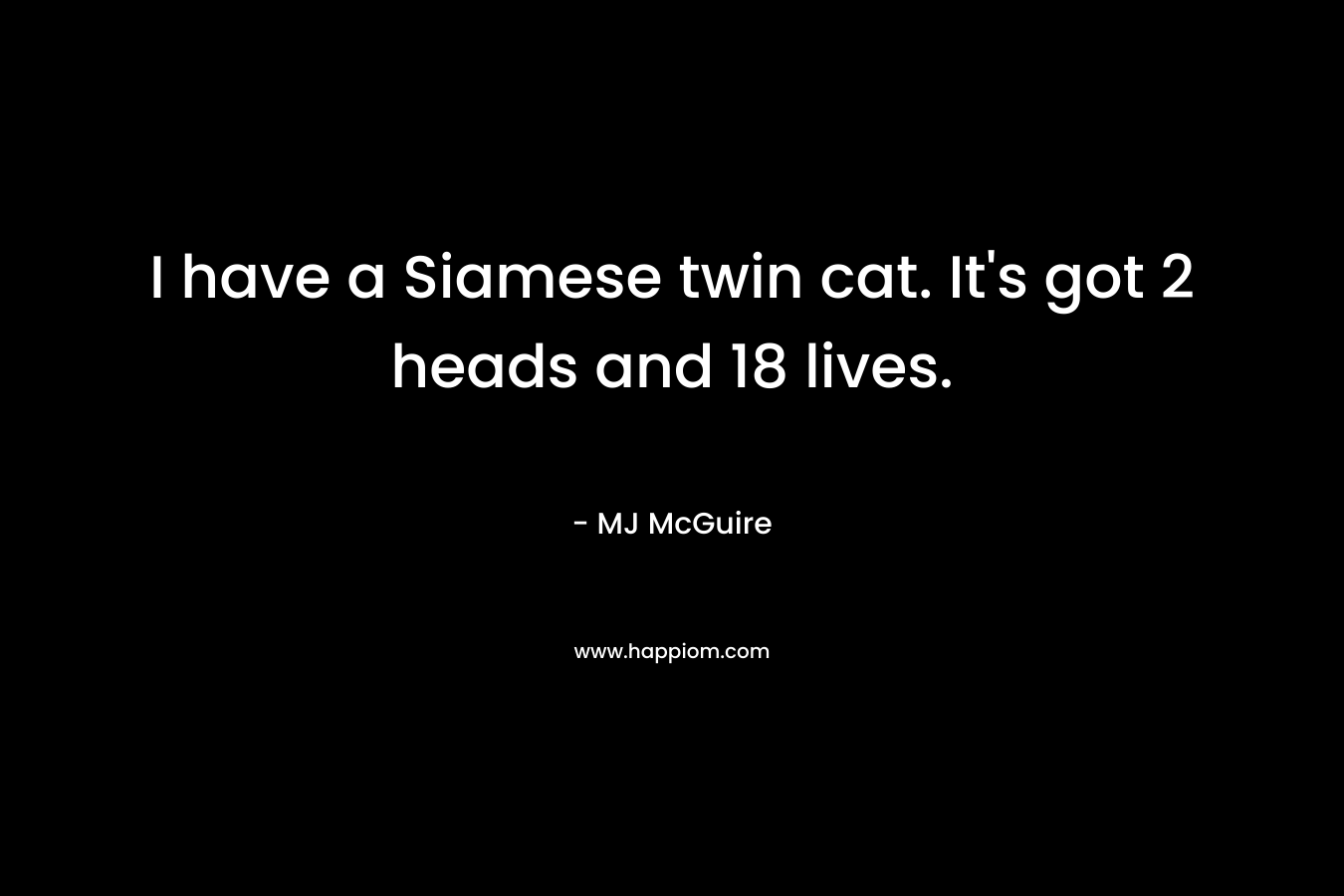 I have a Siamese twin cat. It’s got 2 heads and 18 lives. – MJ McGuire
