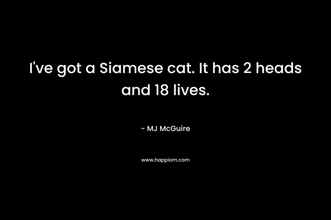 I’ve got a Siamese cat. It has 2 heads and 18 lives. – MJ McGuire