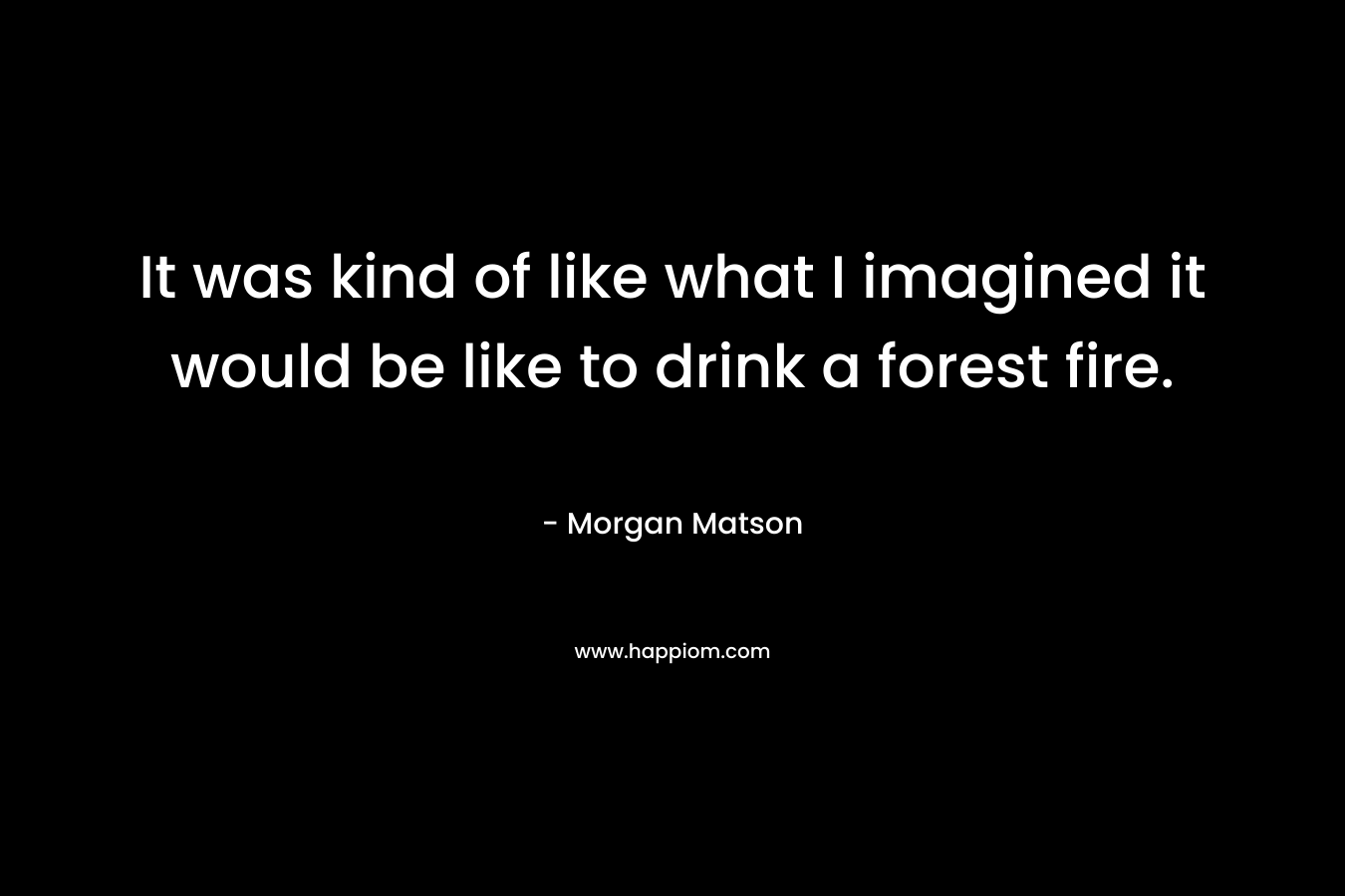 It was kind of like what I imagined it would be like to drink a forest fire. – Morgan Matson