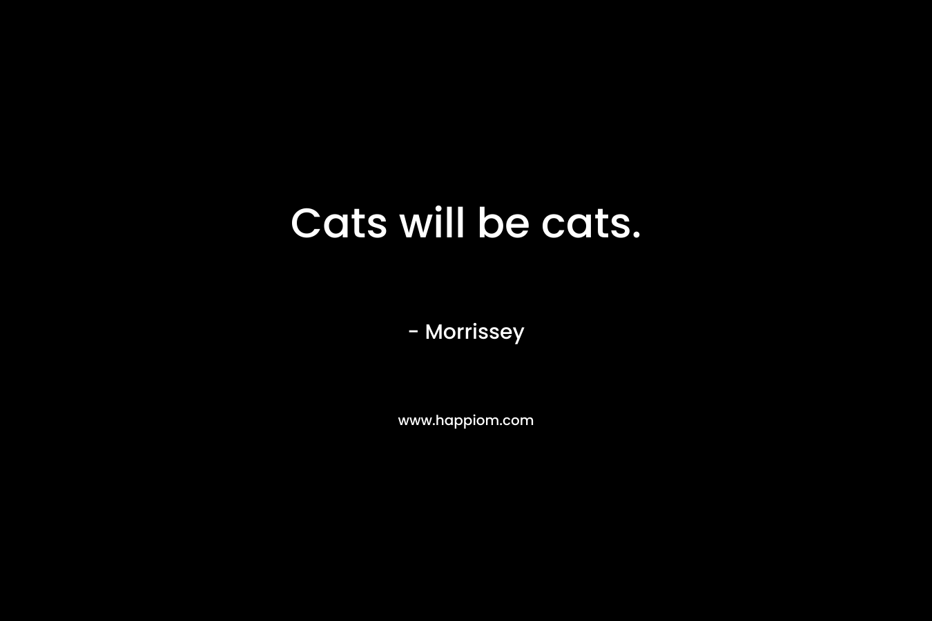 Cats will be cats. – Morrissey