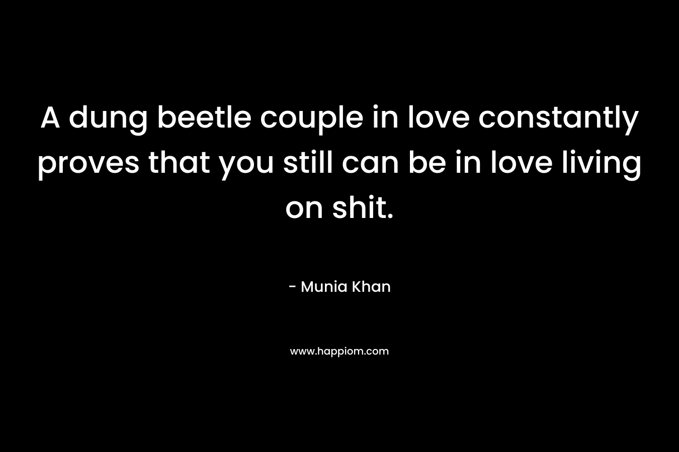 A dung beetle couple in love constantly proves that you still can be in love living on shit.