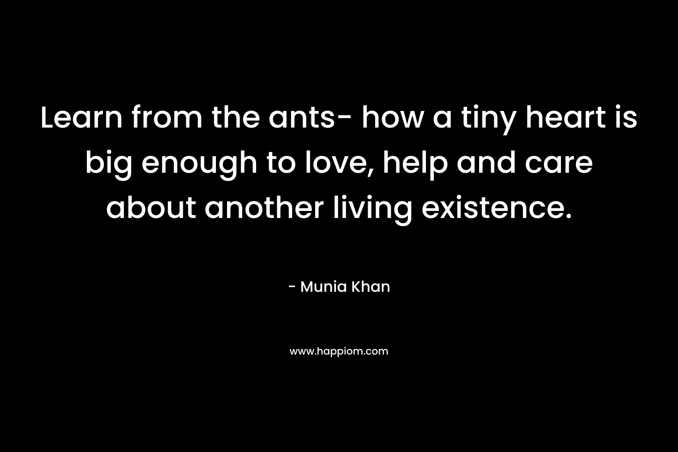 Learn from the ants- how a tiny heart is big enough to love, help and care about another living existence.