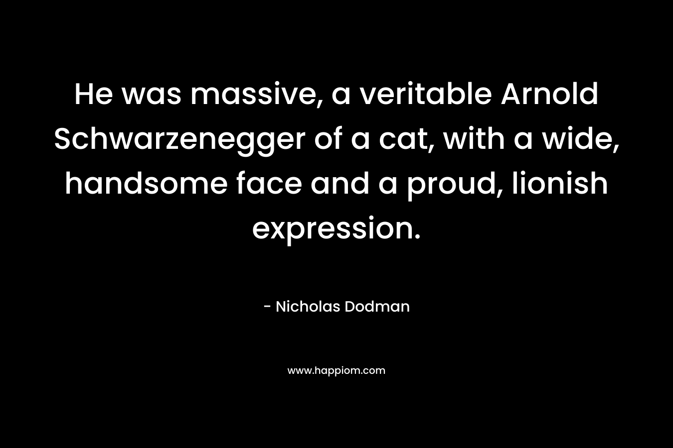 He was massive, a veritable Arnold Schwarzenegger of a cat, with a wide, handsome face and a proud, lionish expression. – Nicholas Dodman