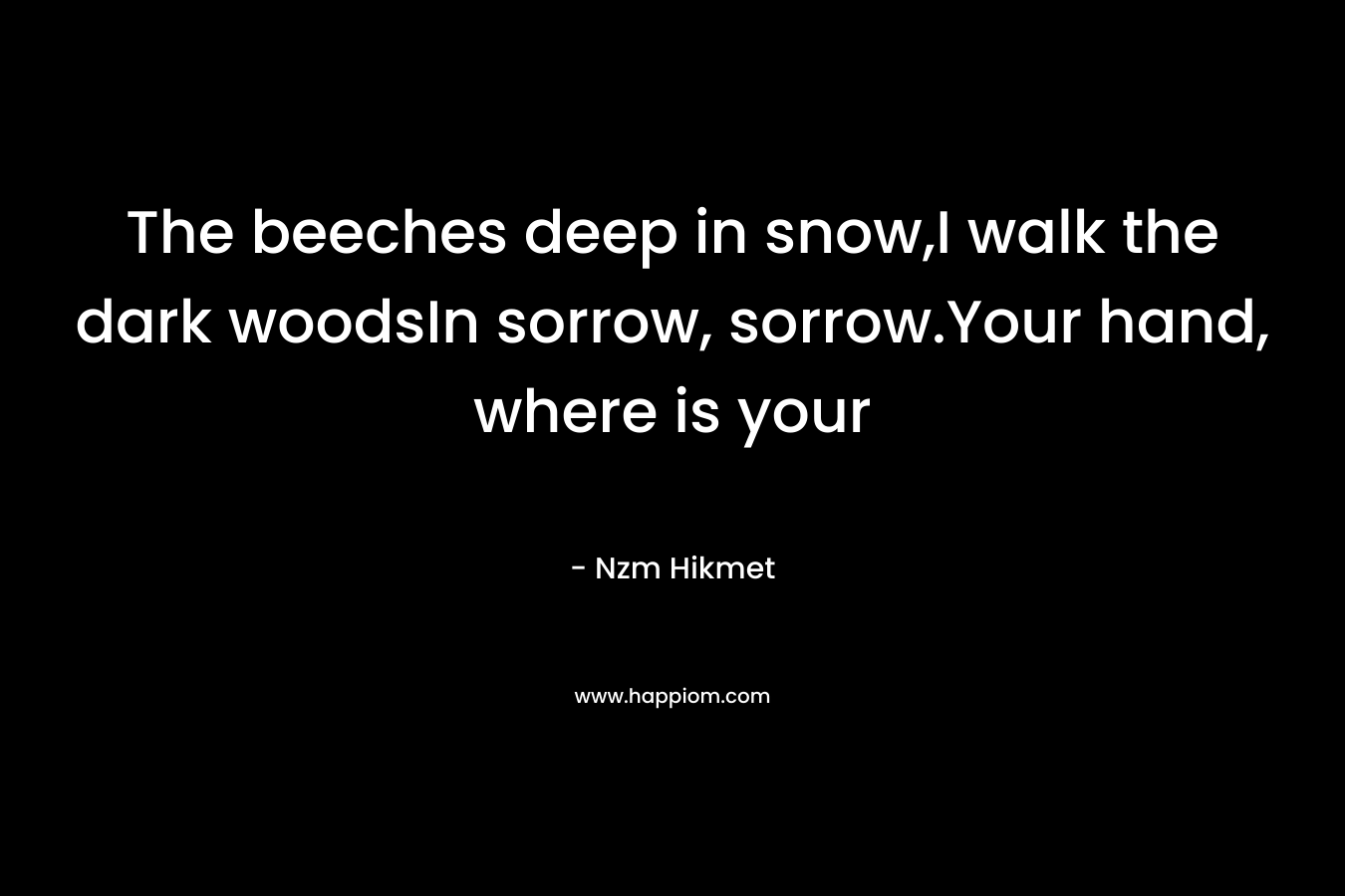 The beeches deep in snow,I walk the dark woodsIn sorrow, sorrow.Your hand, where is your