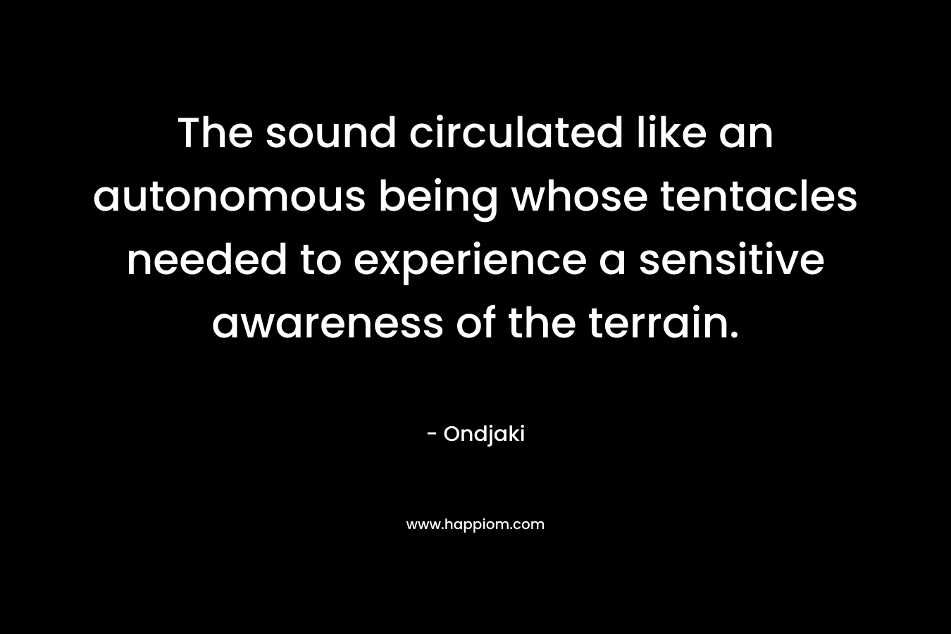 The sound circulated like an autonomous being whose tentacles needed to experience a sensitive awareness of the terrain. – Ondjaki