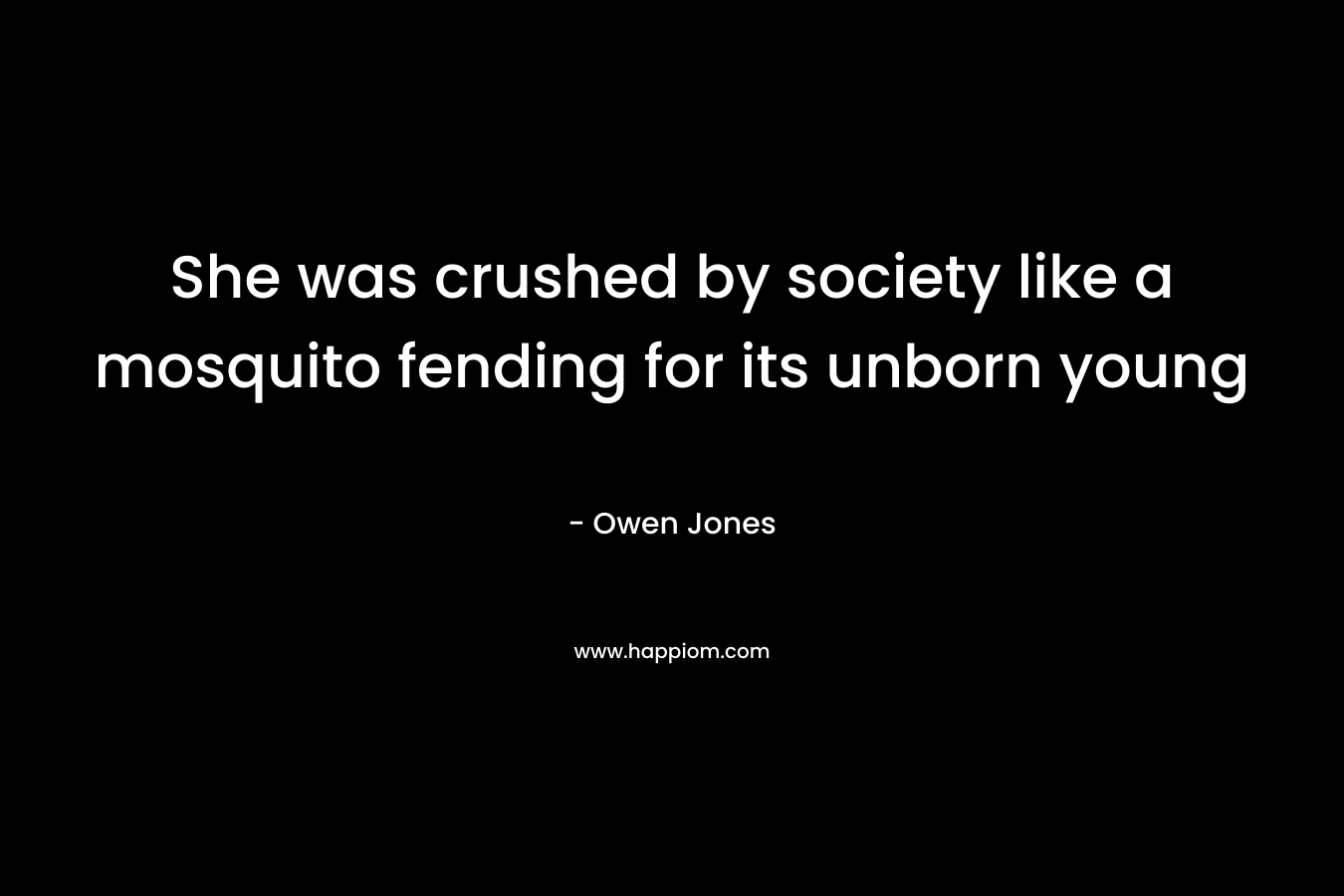 She was crushed by society like a mosquito fending for its unborn young – Owen  Jones