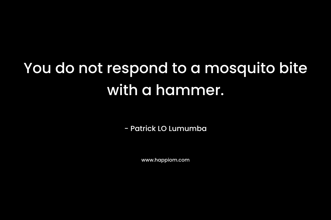 You do not respond to a mosquito bite with a hammer. – Patrick LO Lumumba