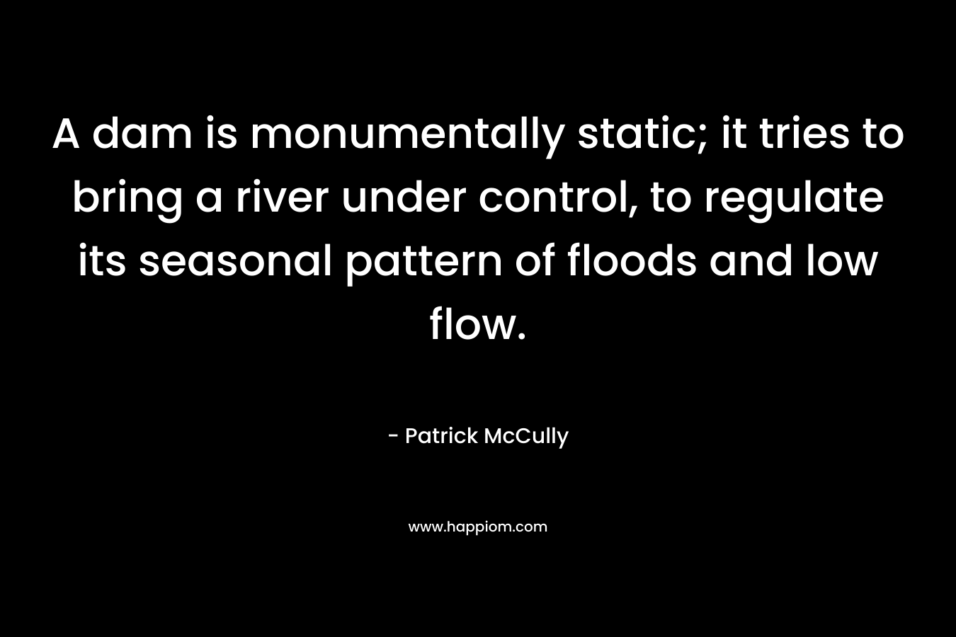 A dam is monumentally static; it tries to bring a river under control, to regulate its seasonal pattern of floods and low flow. – Patrick McCully