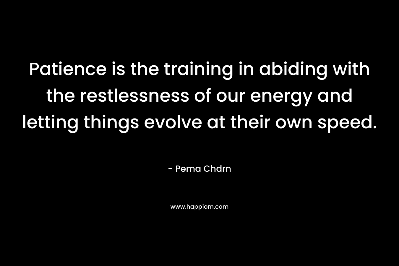 Patience is the training in abiding with the restlessness of our energy and letting things evolve at their own speed.