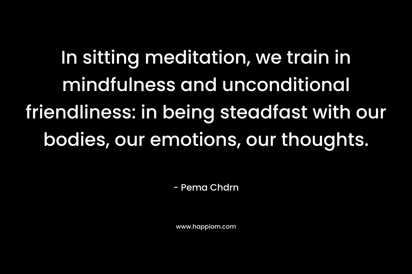 In sitting meditation, we train in mindfulness and unconditional friendliness: in being steadfast with our bodies, our emotions, our thoughts.