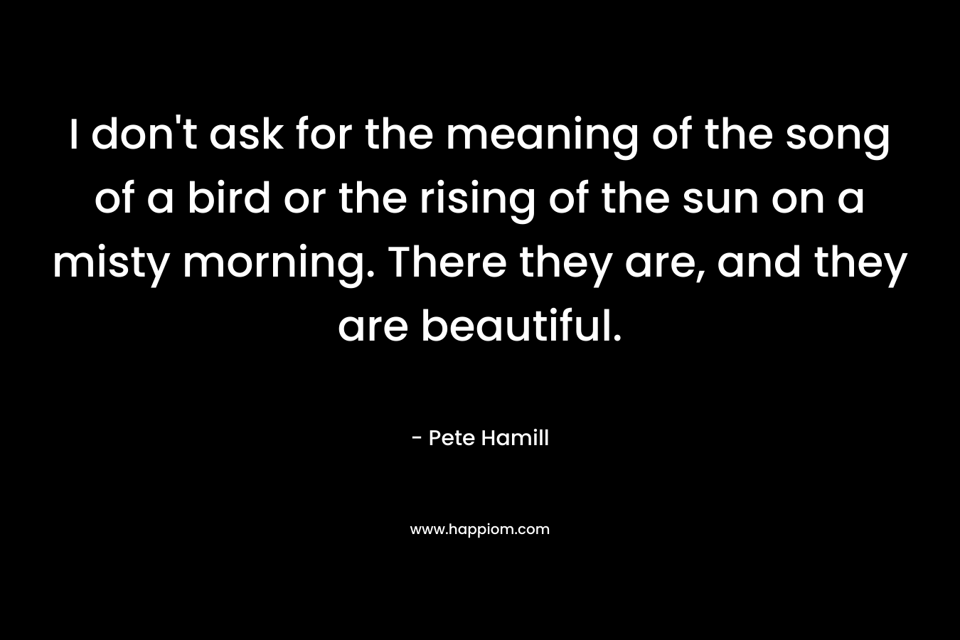 I don't ask for the meaning of the song of a bird or the rising of the sun on a misty morning. There they are, and they are beautiful.