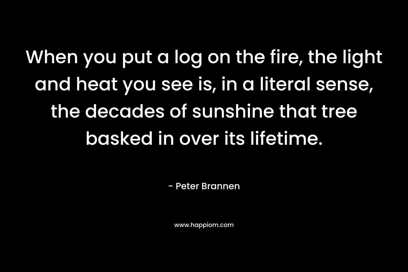 When you put a log on the fire, the light and heat you see is, in a literal sense, the decades of sunshine that tree basked in over its lifetime. – Peter Brannen