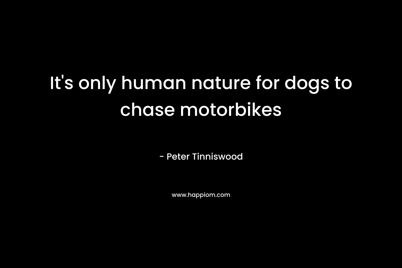 It's only human nature for dogs to chase motorbikes