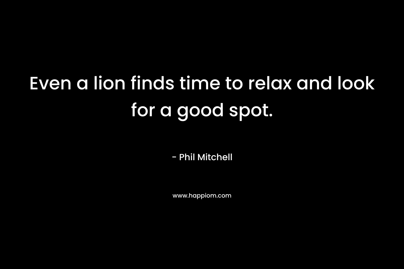 Even a lion finds time to relax and look for a good spot.