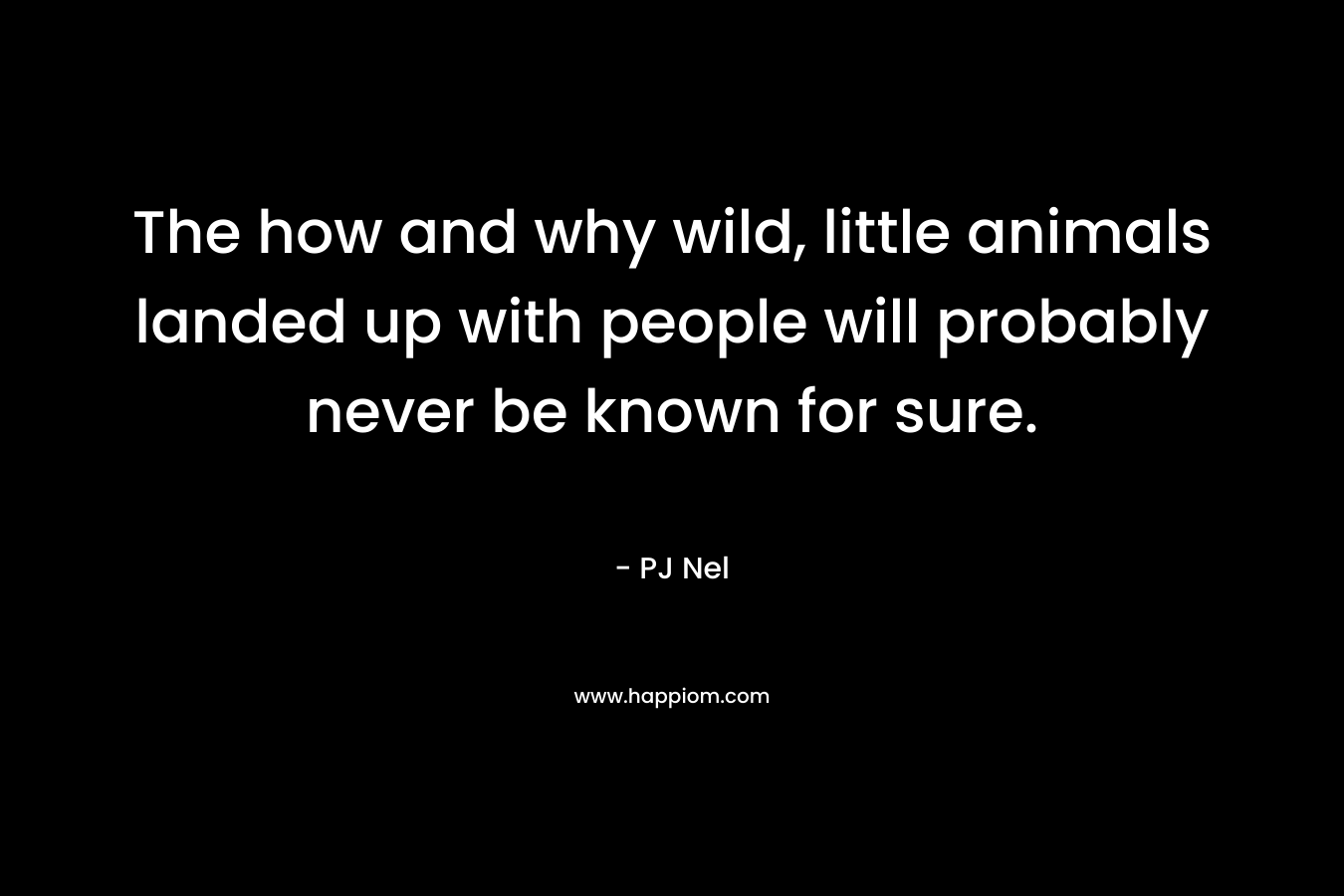 The how and why wild, little animals landed up with people will probably never be known for sure. – PJ  Nel