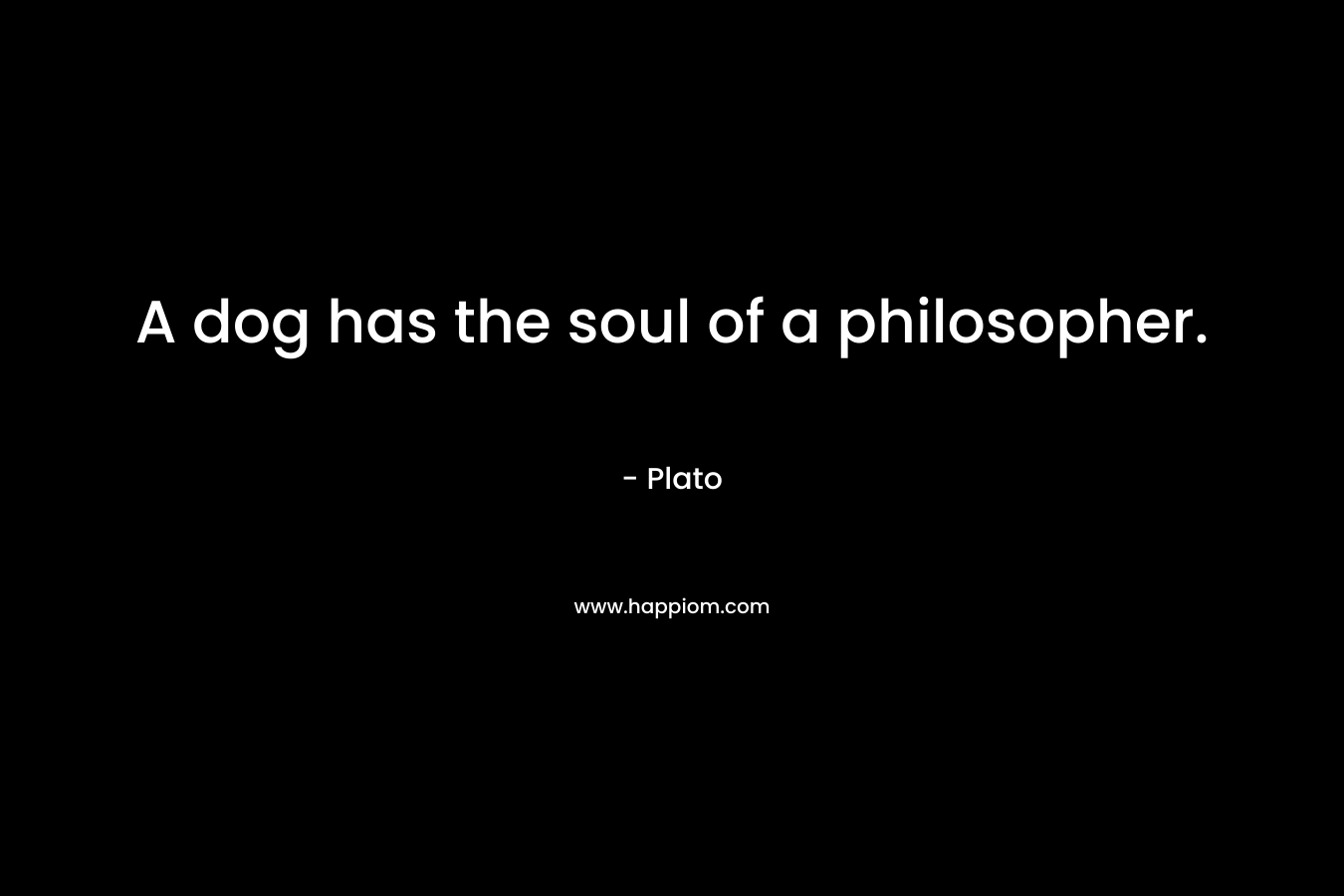A dog has the soul of a philosopher. – Plato