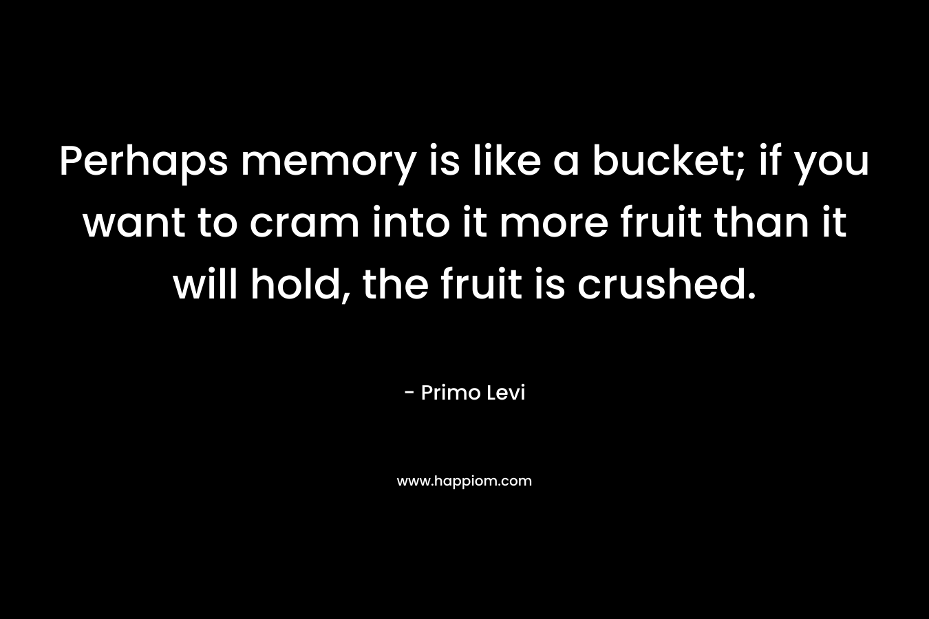 Perhaps memory is like a bucket; if you want to cram into it more fruit than it will hold, the fruit is crushed. – Primo Levi