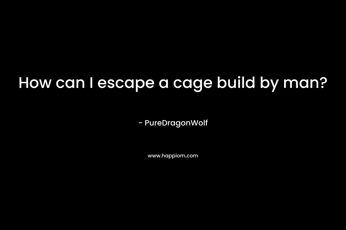 How can I escape a cage build by man?