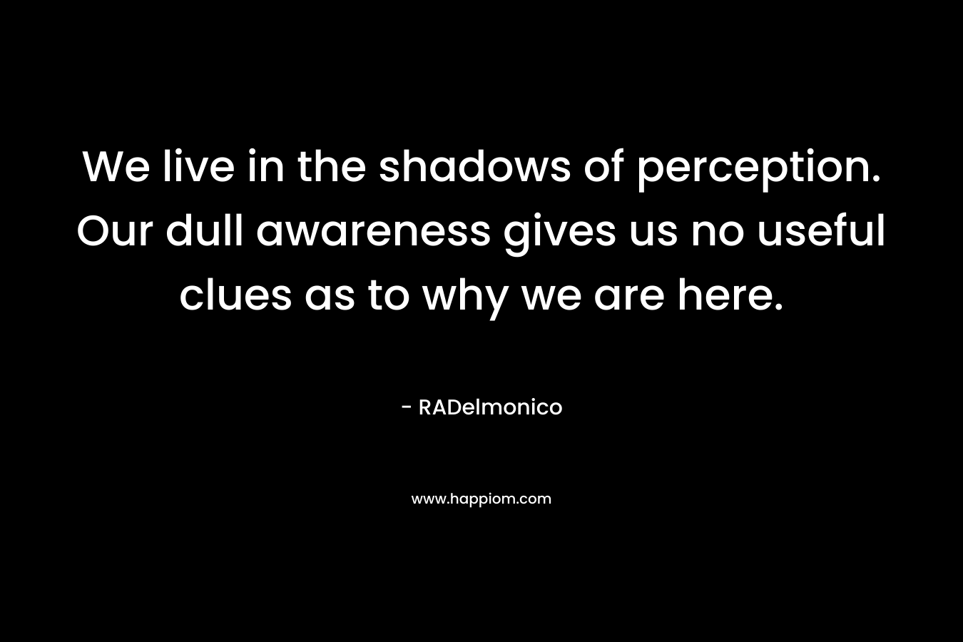 We live in the shadows of perception. Our dull awareness gives us no useful clues as to why we are here. – RADelmonico