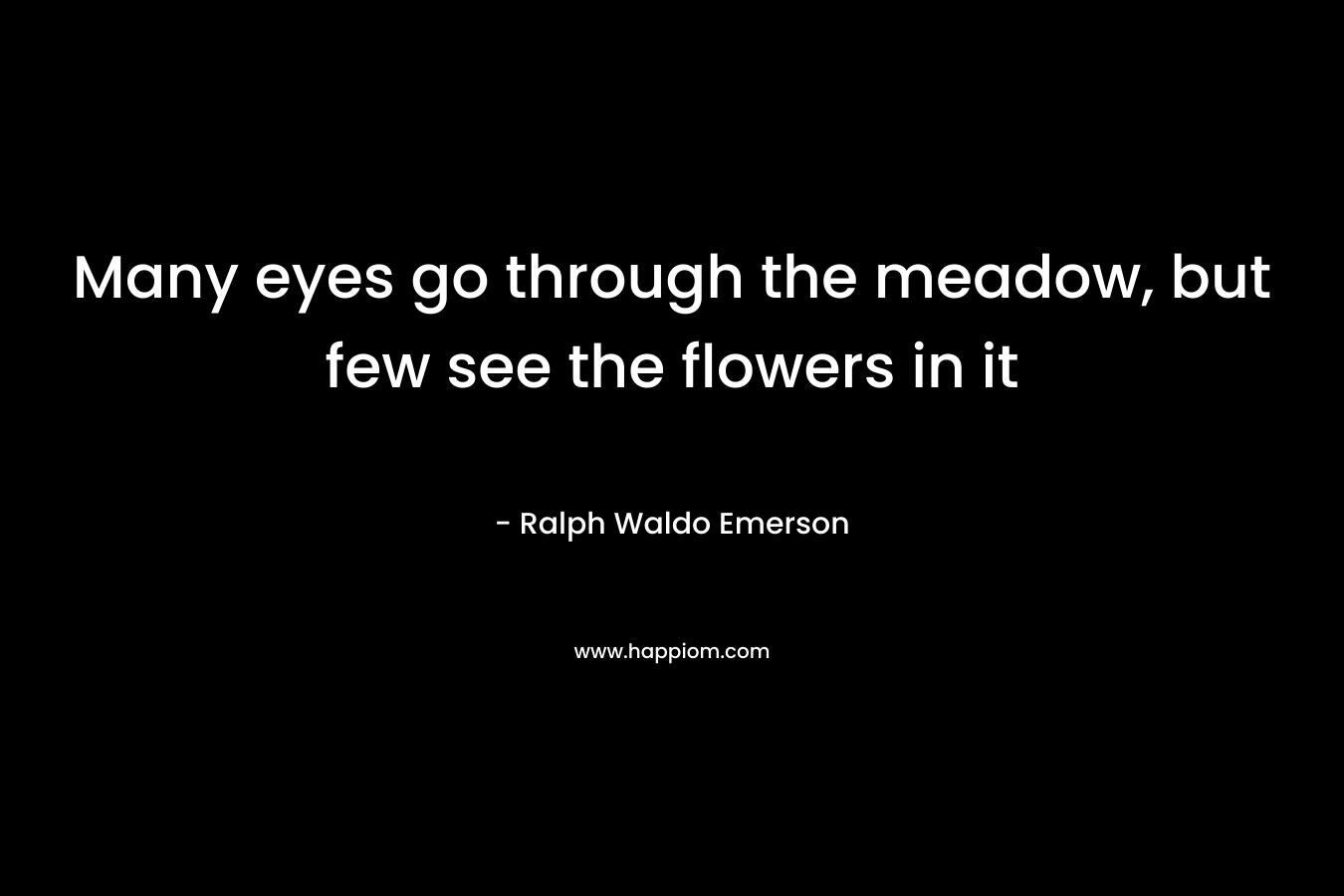 Many eyes go through the meadow, but few see the flowers in it – Ralph Waldo Emerson