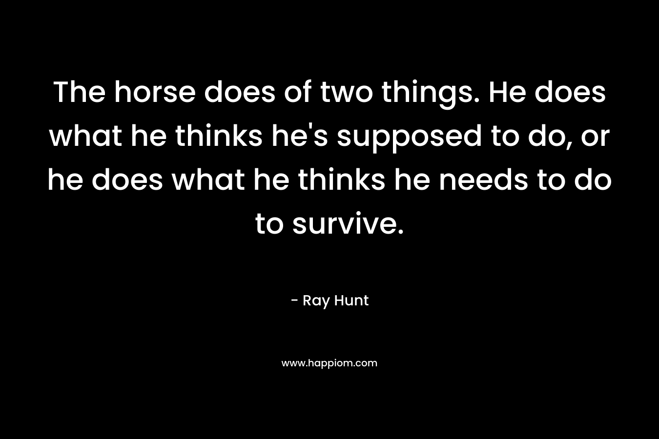 The horse does of two things. He does what he thinks he’s supposed to do, or he does what he thinks he needs to do to survive. – Ray Hunt