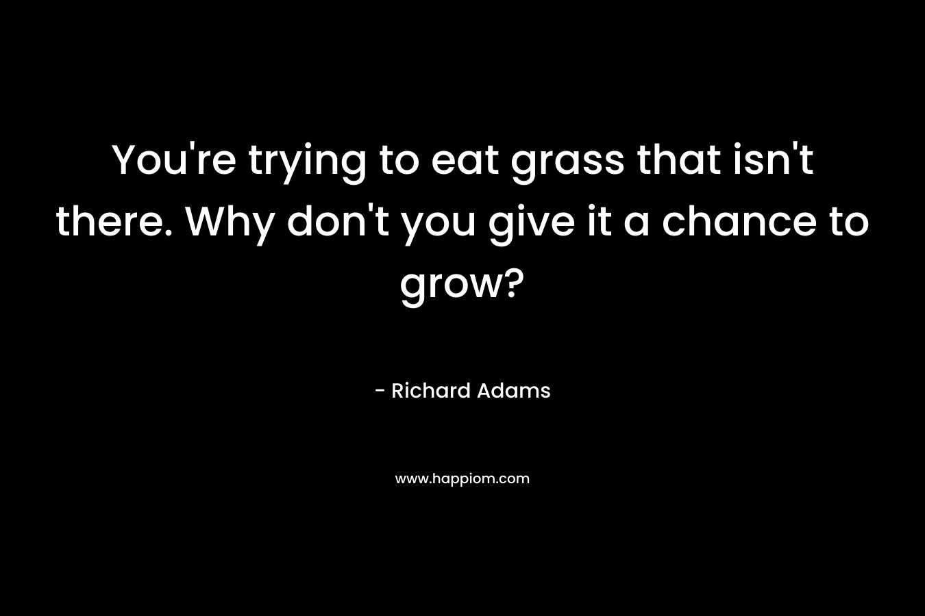 You're trying to eat grass that isn't there. Why don't you give it a chance to grow?