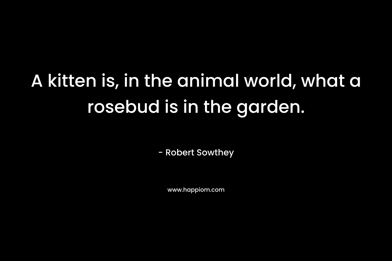 A kitten is, in the animal world, what a rosebud is in the garden. – Robert Sowthey