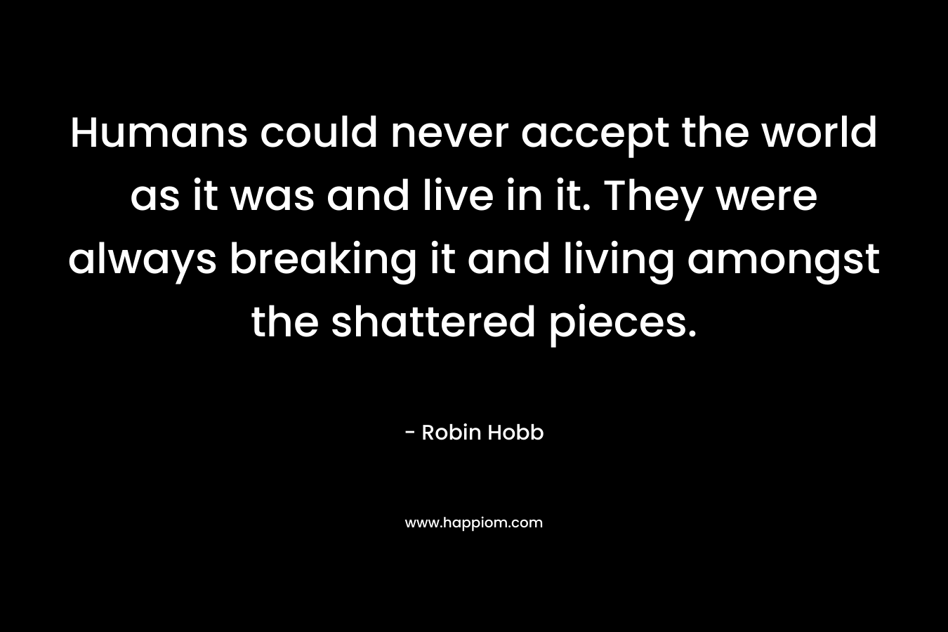 Humans could never accept the world as it was and live in it. They were always breaking it and living amongst the shattered pieces.