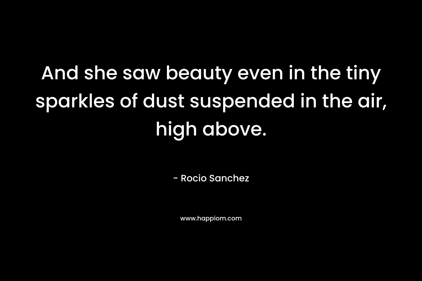 And she saw beauty even in the tiny sparkles of dust suspended in the air, high above. – Rocio Sanchez