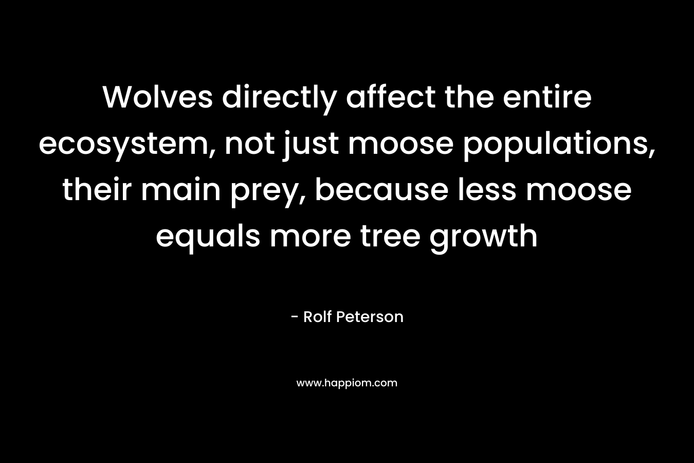 Wolves directly affect the entire ecosystem, not just moose populations, their main prey, because less moose equals more tree growth – Rolf Peterson